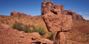 Beitragsbild des Blogbeitrags West-USA: Arizona – Kakteen, Bären und Football (Teil 2)