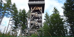 Beitragsbild des Blogbeitrags Rohr im Gebirge Themenweg „Werkstatt Wald und Wasser“