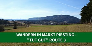 Beitragsbild des Blogbeitrags Wandern in Markt Piesting – tut gut Route 3 