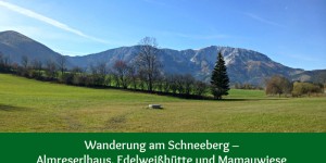 Beitragsbild des Blogbeitrags Wanderung am Schneeberg – Almreserlhaus, Edelweißhütte und Mamauwiese 