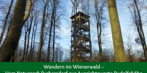 Beitragsbild des Blogbeitrags Wandern im Wienerwald – Vom Naturpark Purkersdorf zur Aussichtswarte Rudolfshöhe 