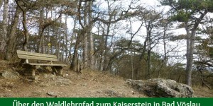 Beitragsbild des Blogbeitrags Über den Waldlehrpfad zum Kaiserstein in Bad Vöslau 