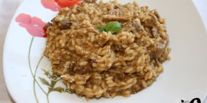 Beitragsbild des Blogbeitrags Steinpilzrisotto
