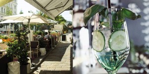 Beitragsbild des Blogbeitrags Sparkling Cucumber Cocktail – manche mögens „scharf“ 