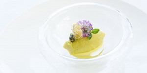 Beitragsbild des Blogbeitrags Löwenzahnsorbet mit Wiesenklee – Das sommerfrische Dessert vom Alpiana Resort