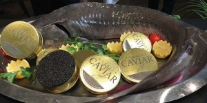 Beitragsbild des Blogbeitrags 5 Lustmacher auf den neuen Mörwald Grand Caviar 