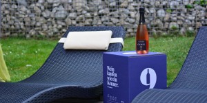 Beitragsbild des Blogbeitrags 9Weine – Der Online-Winestore für „intelligente Faule“