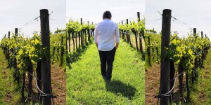 Beitragsbild des Blogbeitrags Steigenberger Hotel & Spa Krems – das traumhafte Donaudomizil inmitten von Weinbergen 