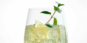 Beitragsbild des Blogbeitrags HUGOLUNDER – die sommerliche Erfrischung mit Prosecco 