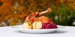 Beitragsbild des Blogbeitrags Ganslwochen in der Luftburg: Alles Bio im Wiener Prater