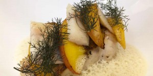 Beitragsbild des Blogbeitrags Feines vom Stör mit Weißweinsoße & Weinbergpfirsich – ein exzellentes Rezept gegen NovemberBlues 