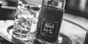 Beitragsbild des Blogbeitrags Nur für echte Kenner: Der beste Berg Gin der Welt!