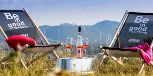 Beitragsbild des Blogbeitrags Dieser Blick beim vinophilen Grill-Event CHIC NIC 2019: Krems liegt euch zu Füßen