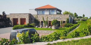 Beitragsbild des Blogbeitrags Vom Wein, Wandern & dem neuen Schlafkomfort: Wir erden uns im Weingut Bannert