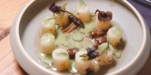 Beitragsbild des Blogbeitrags Oniriq – ein Fine-Dining Traum wird war