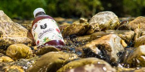 Beitragsbild des Blogbeitrags Grüner Kaffee & heimische Nuancen: das neue Bärnstein erfrischt Österreich