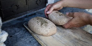 Beitragsbild des Blogbeitrags Slow Food Travel Alpe Adria – die erste internationale Destination in Kärnten