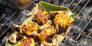 Beitragsbild des Blogbeitrags Maistaler 2.0 mit Steinpilzen, Sauerampfer & Blaubeeren von Paul Ivic 