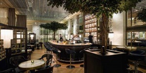 Beitragsbild des Blogbeitrags The Bank Brasserie & Bar – das neue Glanzstück am Wiener Hof
