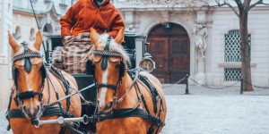 Beitragsbild des Blogbeitrags Geheimes Wien – eine Behind the Scenes-Tour durch Wien mit Secret Vienna 