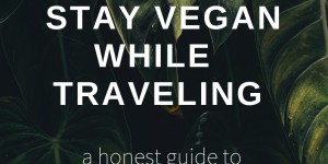 Beitragsbild des Blogbeitrags Vegan + Reisen – geht das überhaupt? 