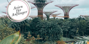 Beitragsbild des Blogbeitrags Singapur Transit Guide: Umsteigen & Singapur in 12 Stunden entdecken