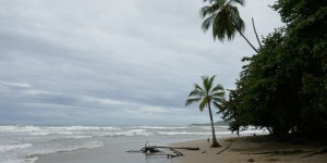 Beitragsbild des Blogbeitrags Wo gibt es die schönsten Strände in Costa Rica?