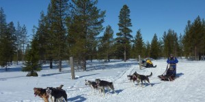 Beitragsbild des Blogbeitrags [7ways2travel] Winter Abenteuer in Finnland 