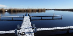 Beitragsbild des Blogbeitrags [7ways2travel] – Still und starr ruht der Neusiedlersee 
