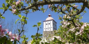 Beitragsbild des Blogbeitrags Die Schallaburg – Ein Spaziergang durch Raum und Zeit