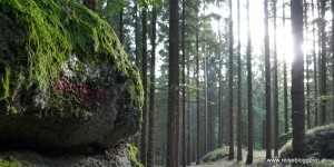 Beitragsbild des Blogbeitrags 100% Mühlviertel – Vom Radeln, Wandern und Biertrinken