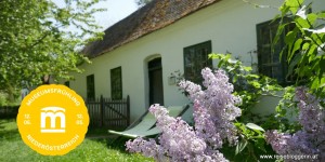 Beitragsbild des Blogbeitrags Der Museumsfrühling in Niederösterreich
