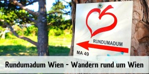 Beitragsbild des Blogbeitrags rundumadum Wien in 120 Kilometern – Wandern in Wien 
