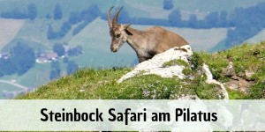 Beitragsbild des Blogbeitrags Pilatus – Meine Tipps für den Drachenberg in der Schweiz