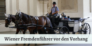 Beitragsbild des Blogbeitrags Fremdenführer in Wien 