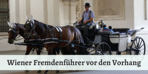 Beitragsbild des Blogbeitrags Fremdenführer in Wien