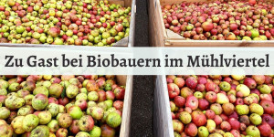 Beitragsbild des Blogbeitrags Biobauernhöfe im Mühlviertel
