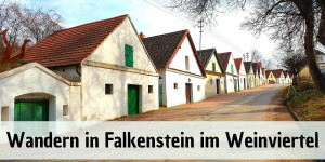 Beitragsbild des Blogbeitrags Wandern in Falkenstein