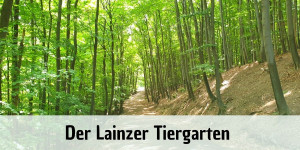 Beitragsbild des Blogbeitrags Der Lainzer Tiergarten