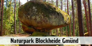 Beitragsbild des Blogbeitrags Naturpark Blockheide Gmünd