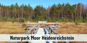 Beitragsbild des Blogbeitrags Naturpark Moor Heidenreichstein