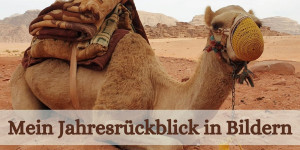 Beitragsbild des Blogbeitrags Mein Jahresrückblick in Bildern