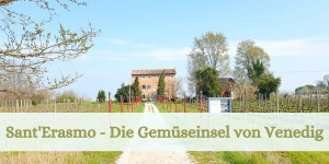Beitragsbild des Blogbeitrags SantErasmo – Die Gemüseinsel von Venedig