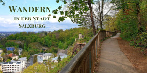 Beitragsbild des Blogbeitrags Wandern in der Stadt Salzburg 