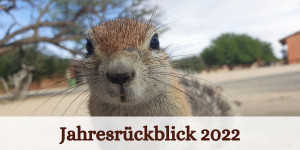 Beitragsbild des Blogbeitrags Mein Jahresrückblick 2022
