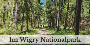Beitragsbild des Blogbeitrags Unterwegs im Wigry Nationalpark in Polen 