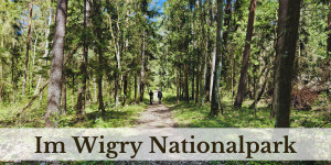Beitragsbild des Blogbeitrags Unterwegs im Wigry Nationalpark in Polen