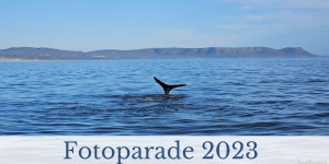 Beitragsbild des Blogbeitrags Fotoparade 2023