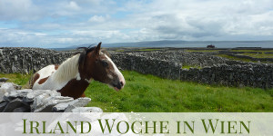 Beitragsbild des Blogbeitrags St. Patricks Day – Ein Fest der irischen Kultur