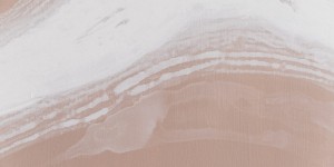 Beitragsbild des Blogbeitrags TRACES